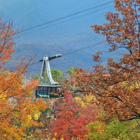 Cajun Hideaway Holiday Home Gatlinburg Esterno foto